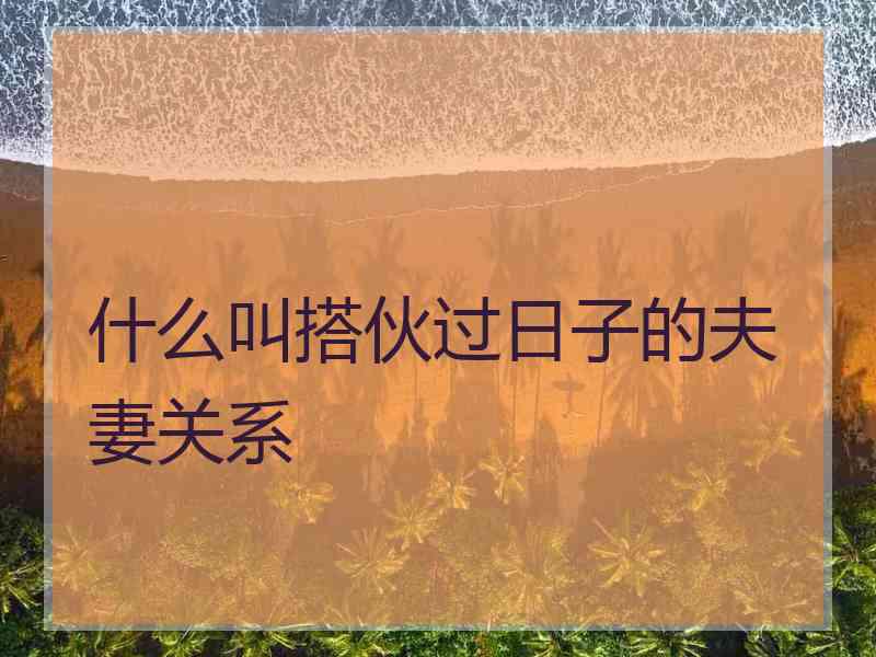 什么叫搭伙过日子的夫妻关系