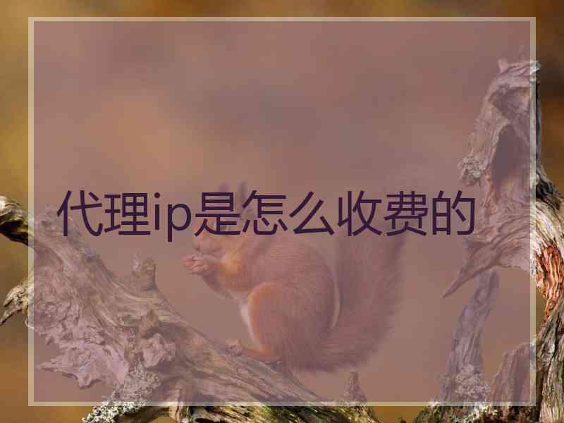 代理ip是怎么收费的
