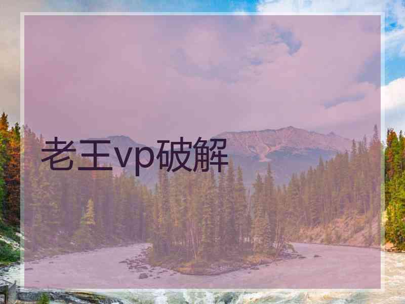 老王vp破解