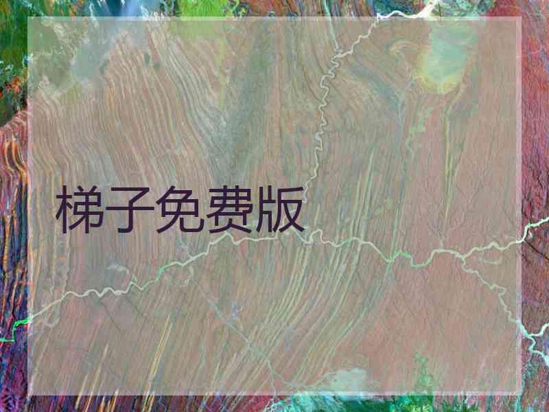 梯子免费版