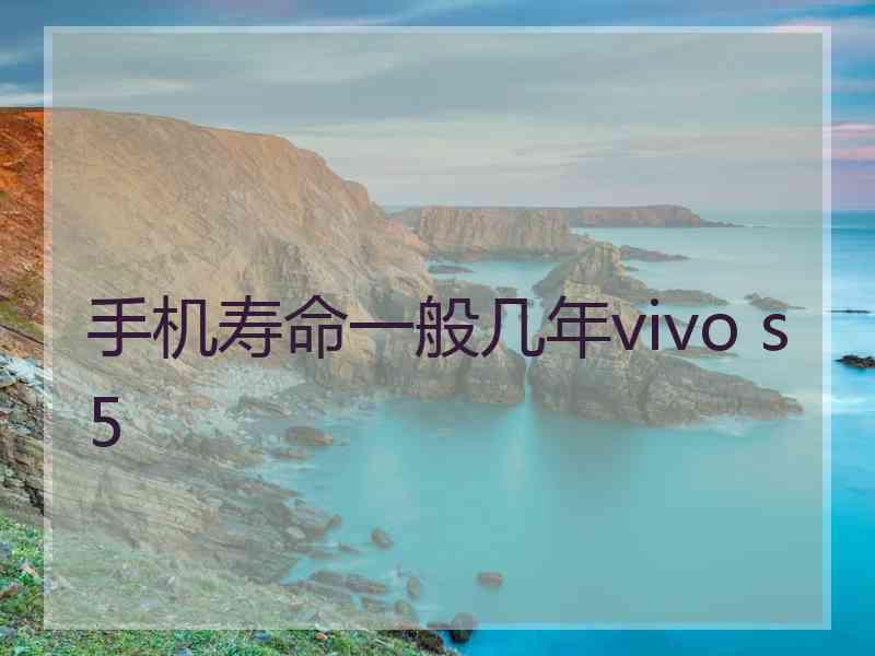 手机寿命一般几年vivo s5