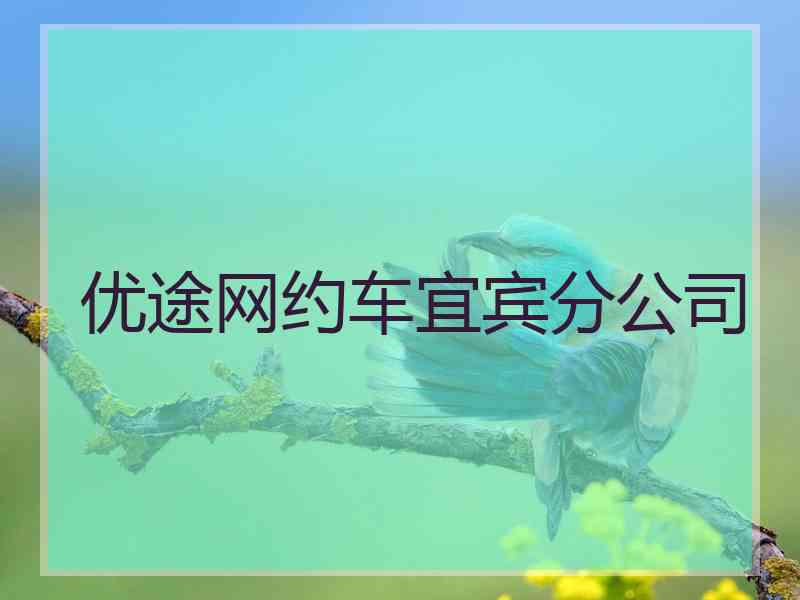 优途网约车宜宾分公司