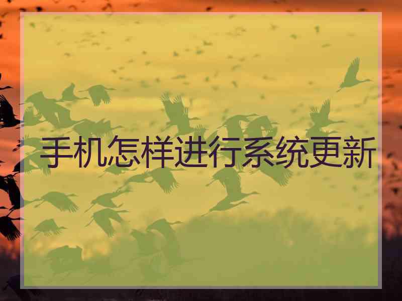 手机怎样进行系统更新