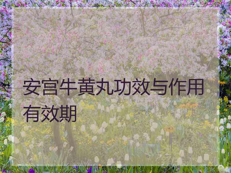 安宫牛黄丸功效与作用有效期