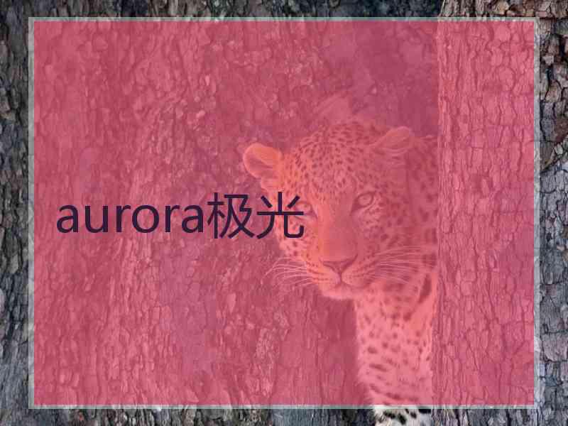 aurora极光