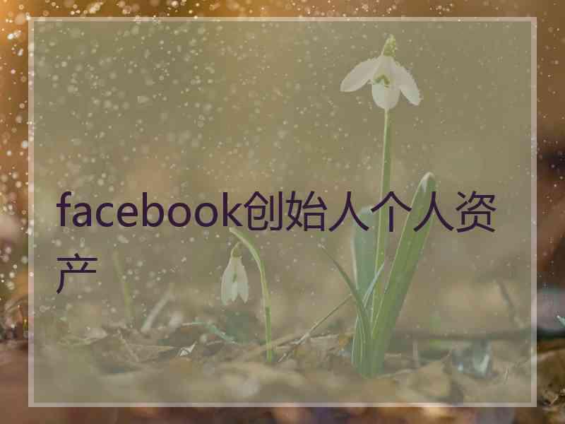 facebook创始人个人资产