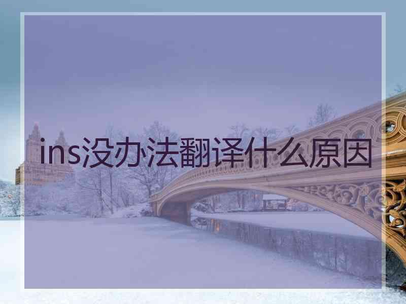 ins没办法翻译什么原因