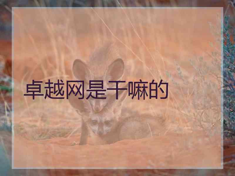卓越网是干嘛的