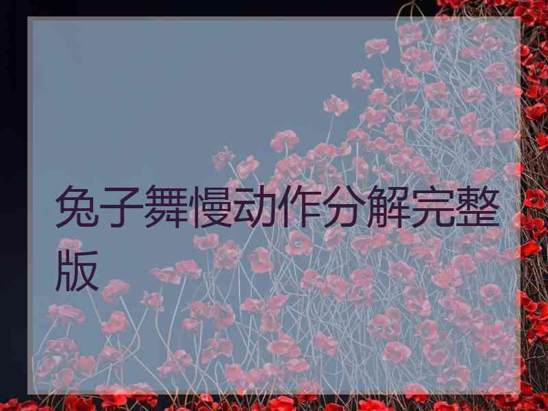 兔子舞慢动作分解完整版