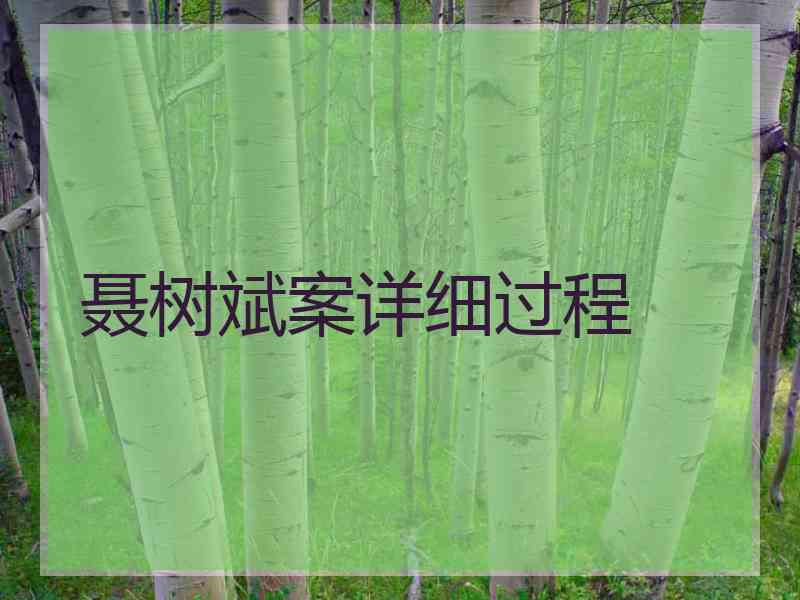 聂树斌案详细过程