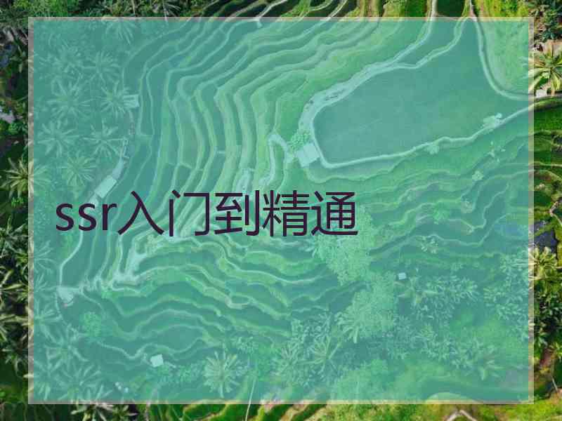 ssr入门到精通