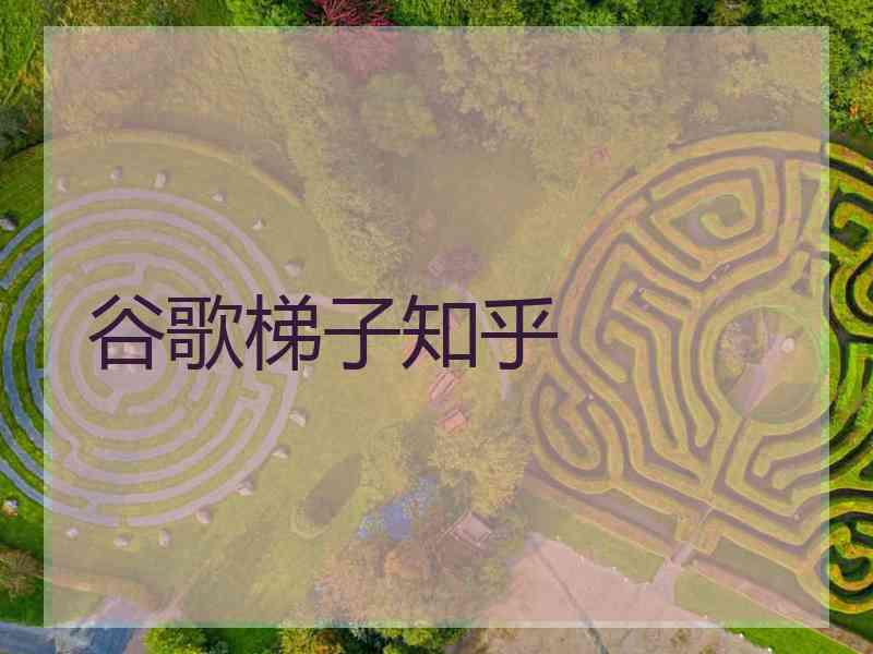 谷歌梯子知乎