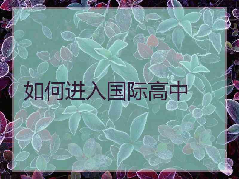 如何进入国际高中