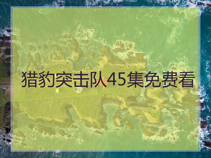 猎豹突击队45集免费看