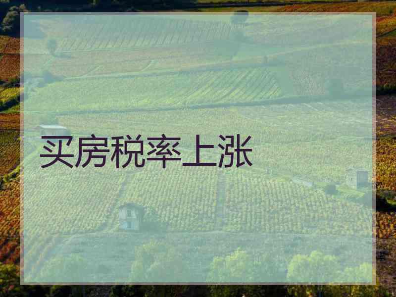 买房税率上涨