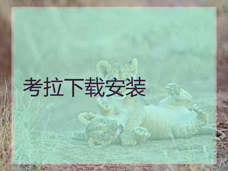 考拉下载安装