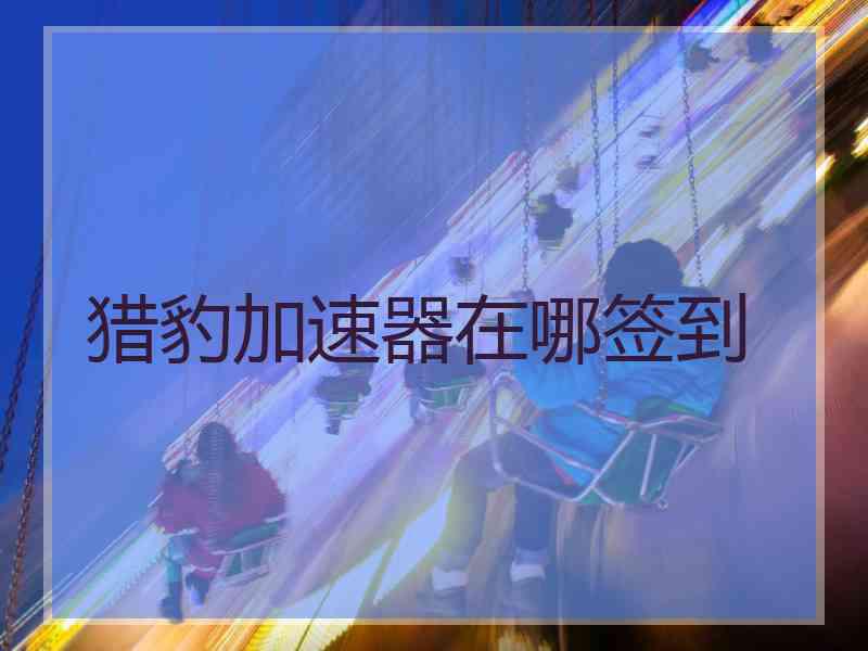 猎豹加速器在哪签到