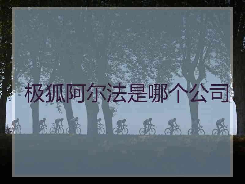 极狐阿尔法是哪个公司