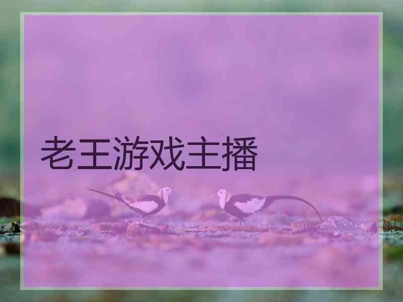 老王游戏主播
