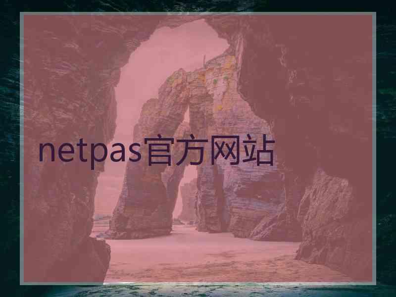 netpas官方网站