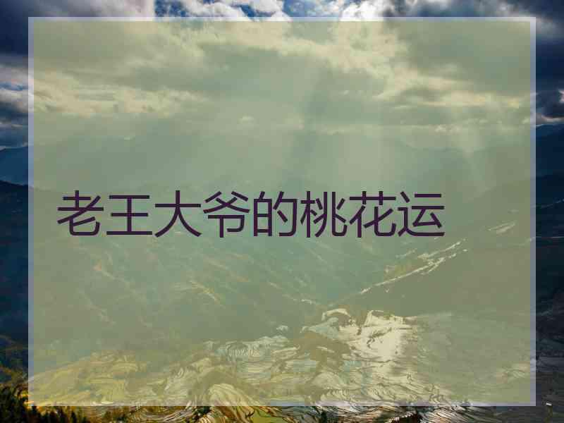 老王大爷的桃花运