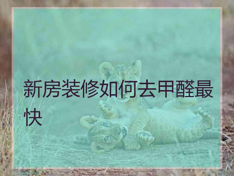 新房装修如何去甲醛最快