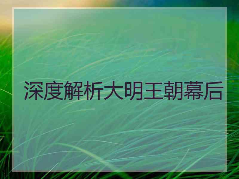 深度解析大明王朝幕后