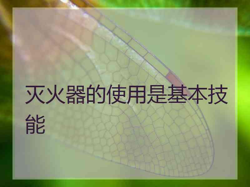 灭火器的使用是基本技能