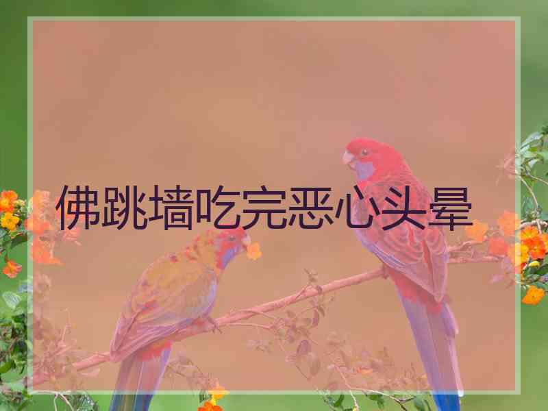 佛跳墙吃完恶心头晕