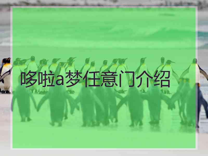 哆啦a梦任意门介绍