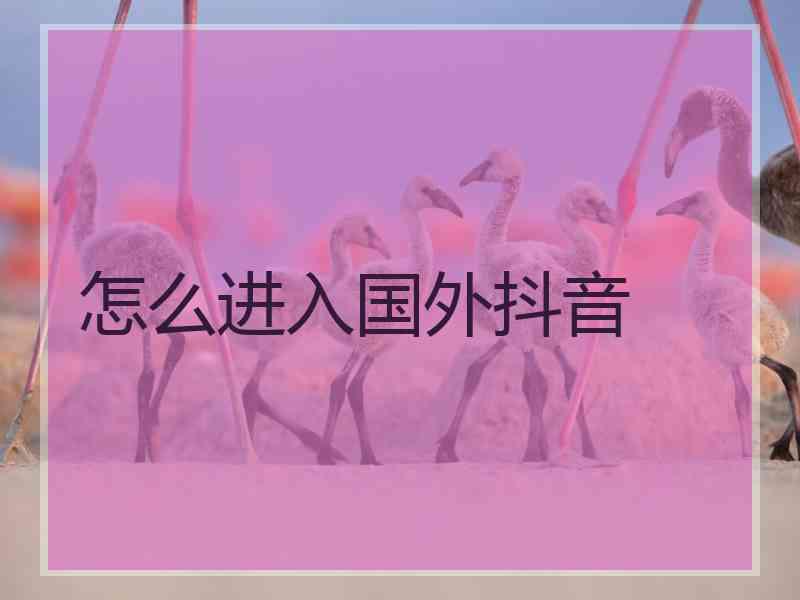 怎么进入国外抖音