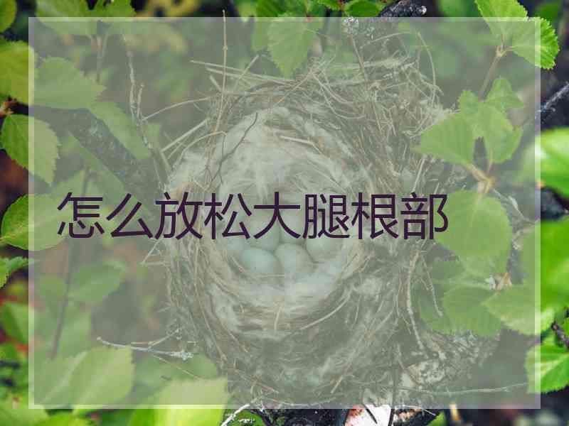 怎么放松大腿根部