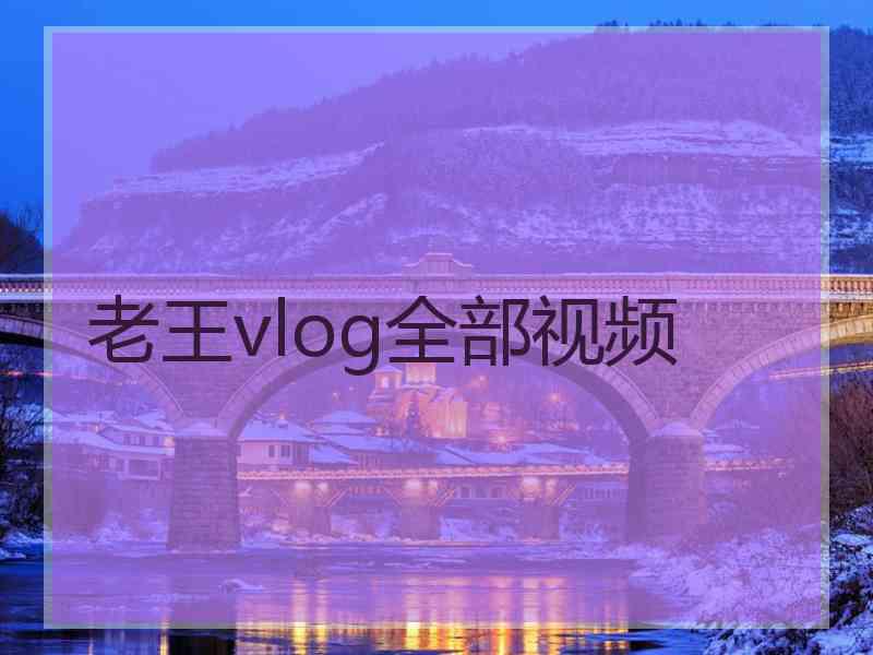 老王vlog全部视频