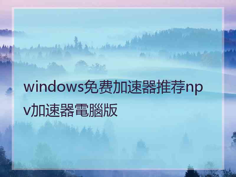 windows免费加速器推荐npv加速器電腦版