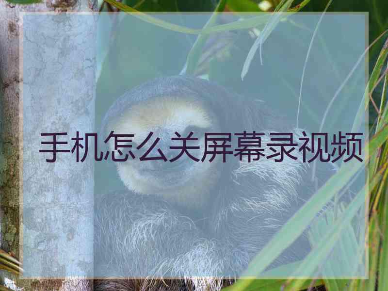 手机怎么关屏幕录视频