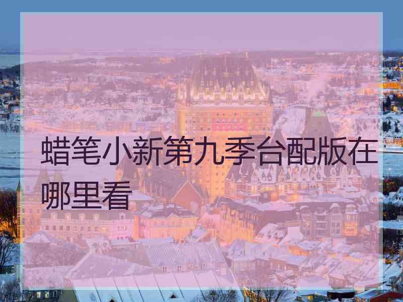 蜡笔小新第九季台配版在哪里看