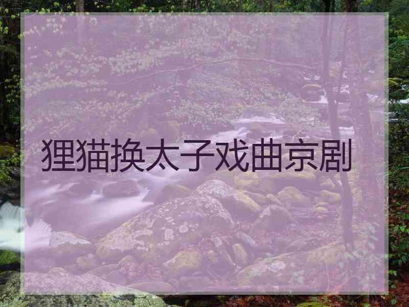 狸猫换太子戏曲京剧
