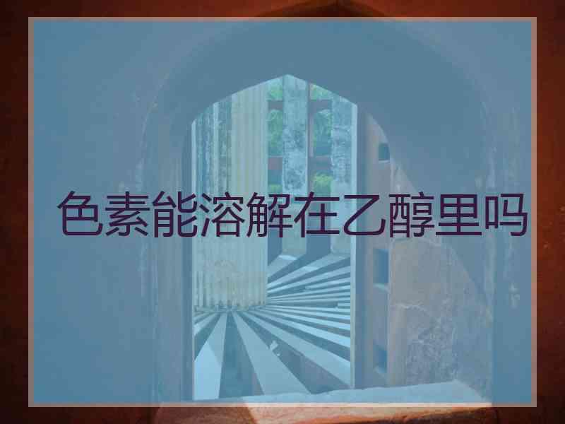 色素能溶解在乙醇里吗