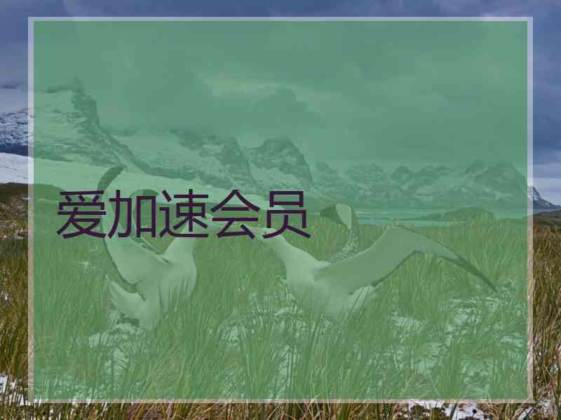 爱加速会员