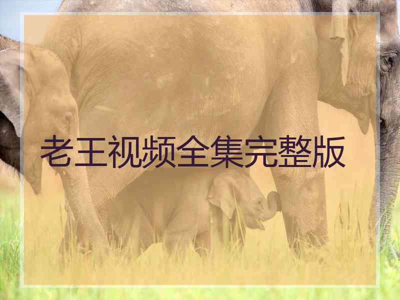 老王视频全集完整版