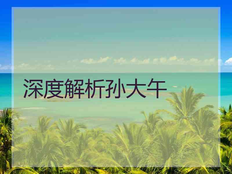 深度解析孙大午