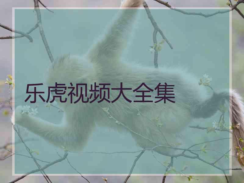 乐虎视频大全集