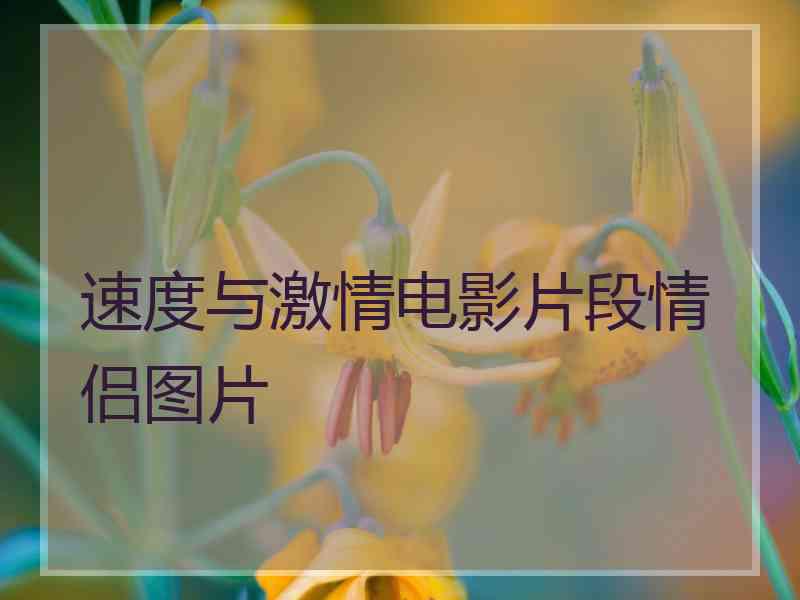 速度与激情电影片段情侣图片