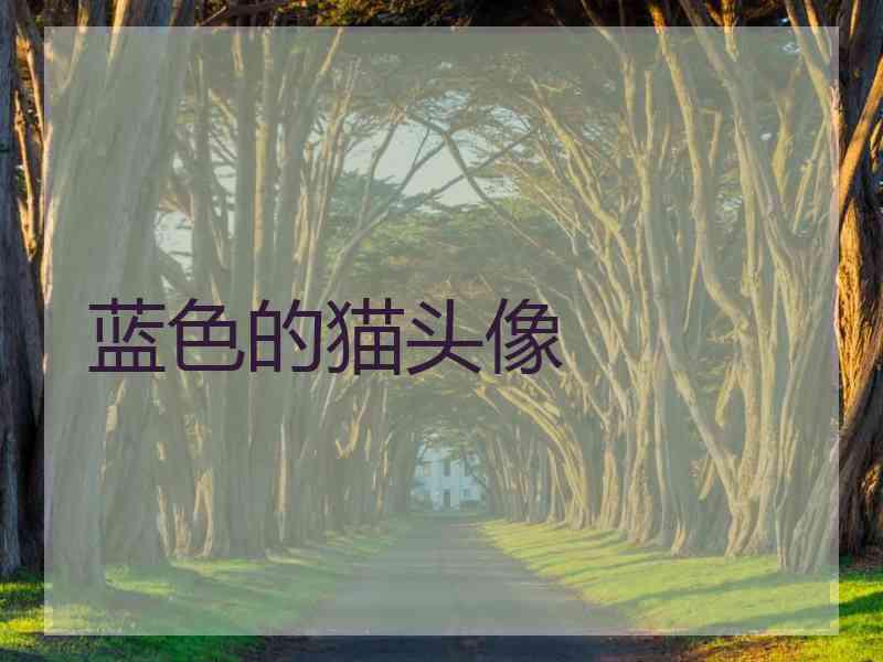 蓝色的猫头像