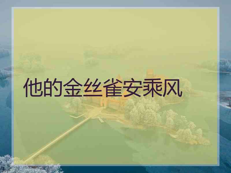他的金丝雀安乘风