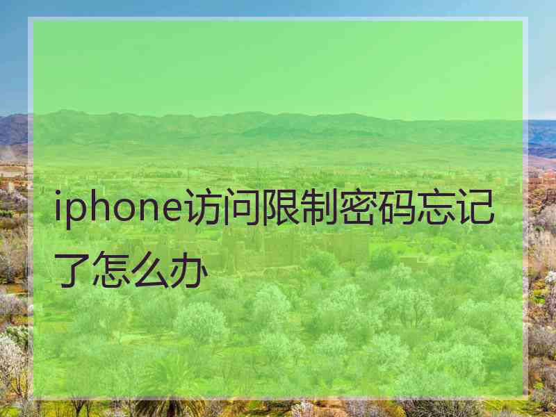 iphone访问限制密码忘记了怎么办