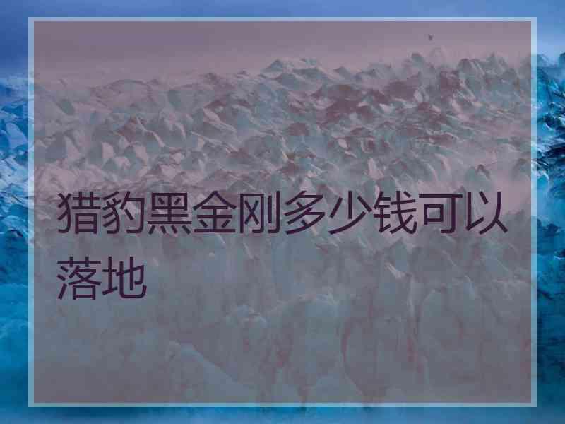 猎豹黑金刚多少钱可以落地