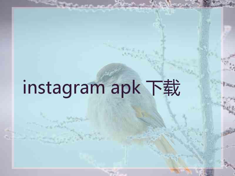 instagram apk 下载