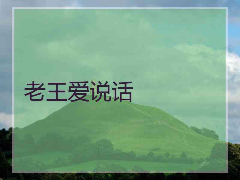 老王爱说话
