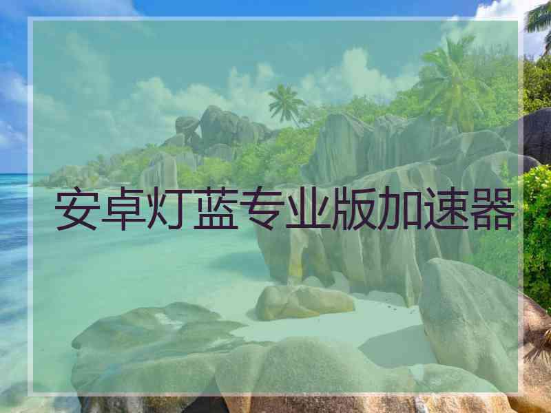 安卓灯蓝专业版加速器